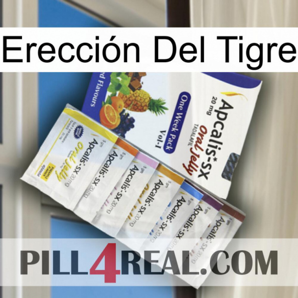 Erección Del Tigre 11.jpg